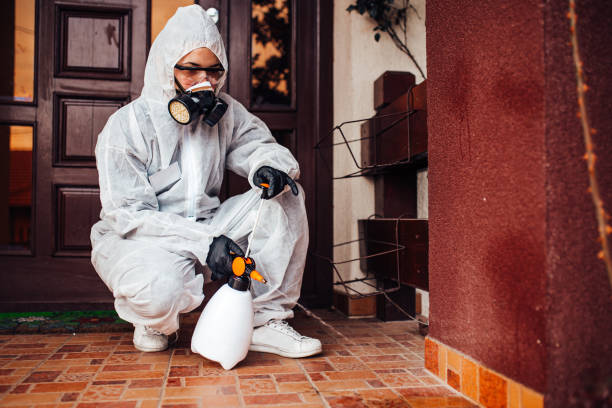 Reliable Cockroach Control contractor in Westport, NC by Nex Pest Control